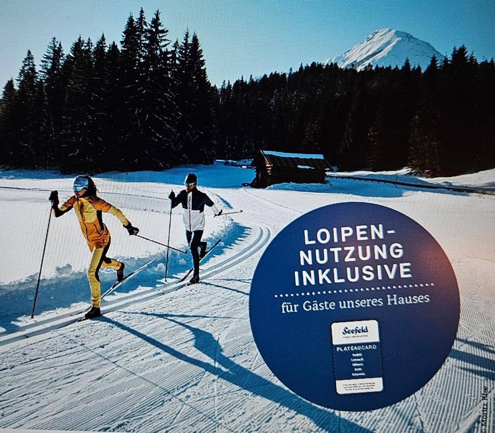 Alpineas Apartman Leutasch Kültér fotó
